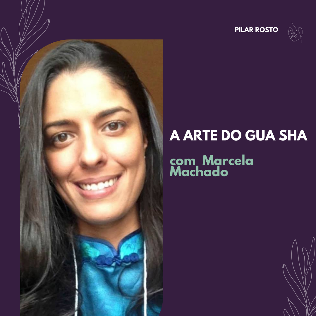 Cópia de AULAS PORTAL (1)